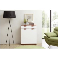Shoe cabinet 
