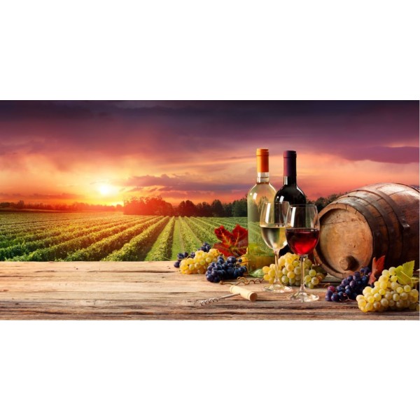 Vineyard Painting 