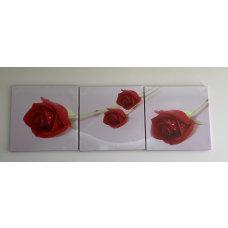 Wall Art -red roses